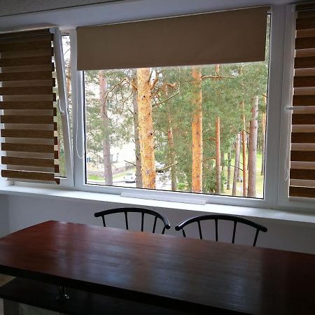 Light One Room Apartment Visaginas Esterno foto