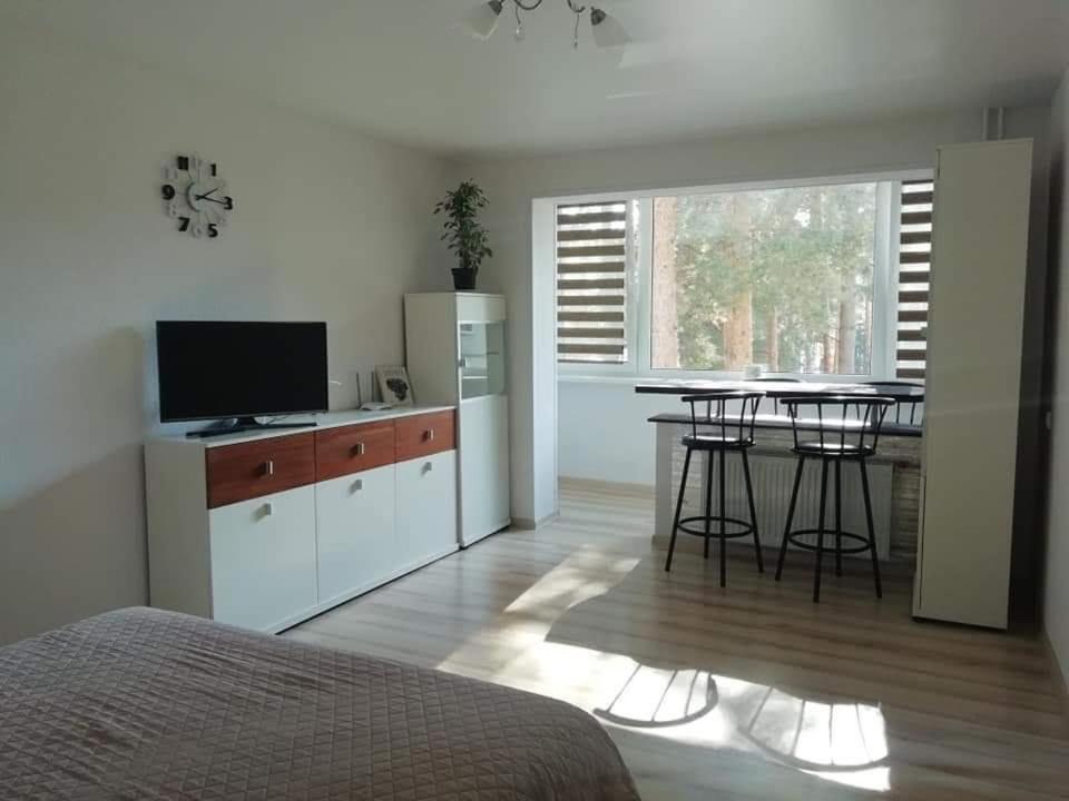 Light One Room Apartment Visaginas Esterno foto