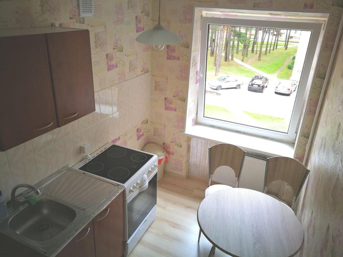 Light One Room Apartment Visaginas Esterno foto