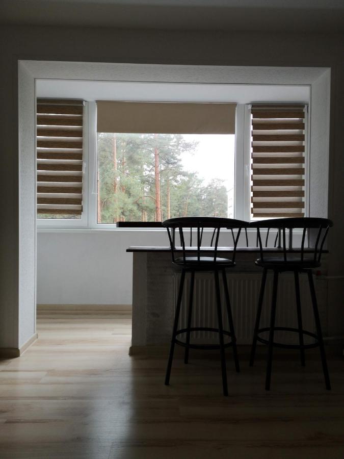 Light One Room Apartment Visaginas Esterno foto